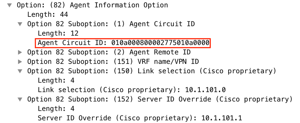 win2012, Agent Circuit ID in Wireshark packet capture